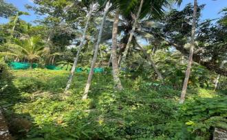 Residential Land for Sale in Kottayam, Vaikom, Vadakkemuri, https://maps.google.com/?q=9.762779,76.409317