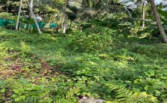 Residential Land for Sale in Kottayam, Vaikom, Vadakkemuri, https://maps.google.com/?q=9.762779,76.409317