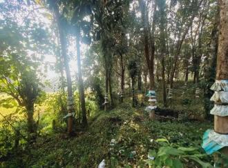 Residential Land for Sale in Ernakulam, Angamaly, Angamaly, St.Sebastian's Church Road