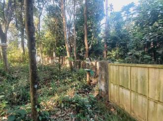 Residential Land for Sale in Ernakulam, Angamaly, Angamaly, St.Sebastian's Church Road