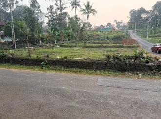 Residential Land for Sale in Kottayam, Pallickathodu, Pallickathodu