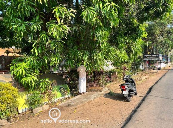 Commercial Land for Sale
