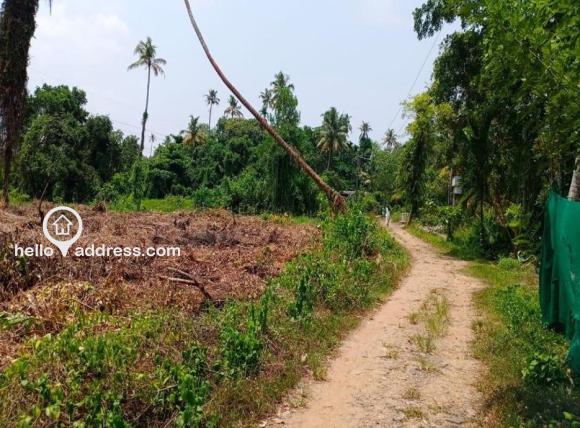 Commercial Land for Sale