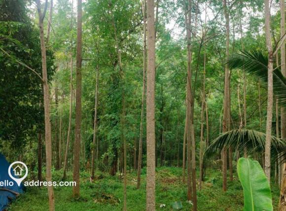 Agricultural Land for Sale
