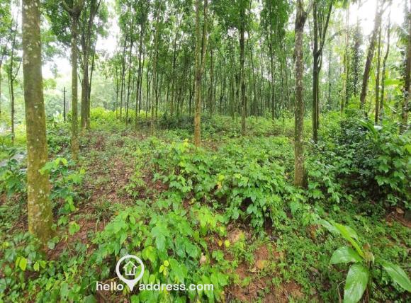 Residential Land for Sale