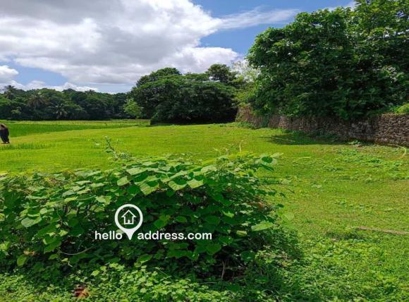 Residential Land for Sale