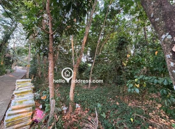 Agricultural Land for Sale