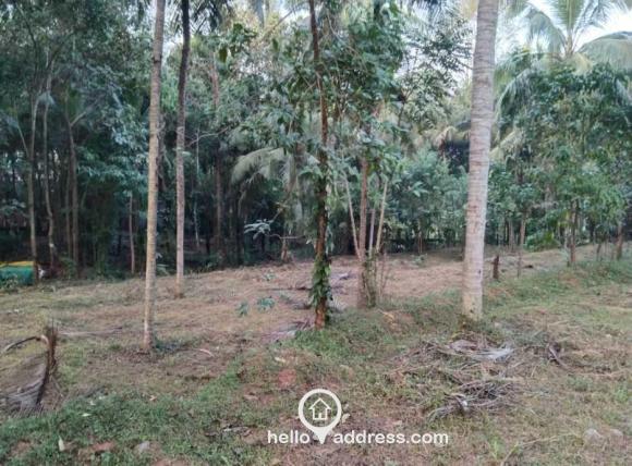 Residential Land for Sale