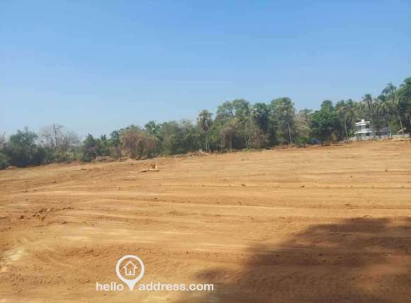 Panchayat road facing Residential Land at Pallathanpully, Thathamangalam- 3 Acres