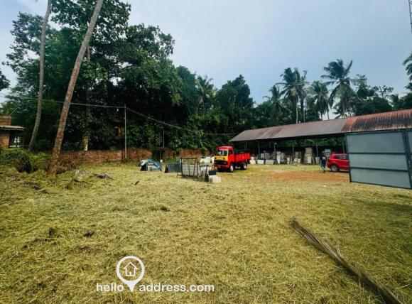 Commercial Land for Sale