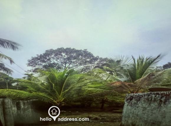 Residential Land for Sale