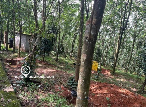 Agricultural Land for Sale