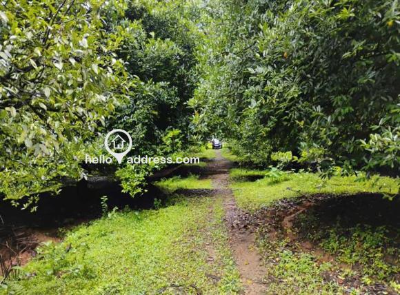 Residential Land for Sale