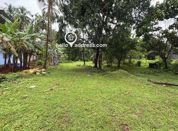 Commercial Land for Sale