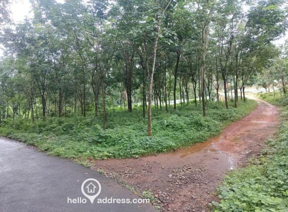 Agricultural Land for Sale