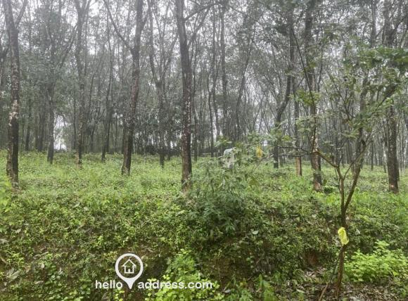 Agricultural Land for Sale