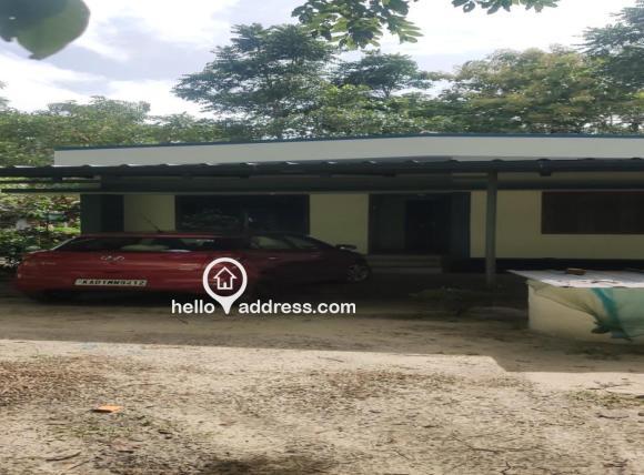 Residential House Villa for Rent
