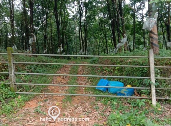 Residential Land for Sale