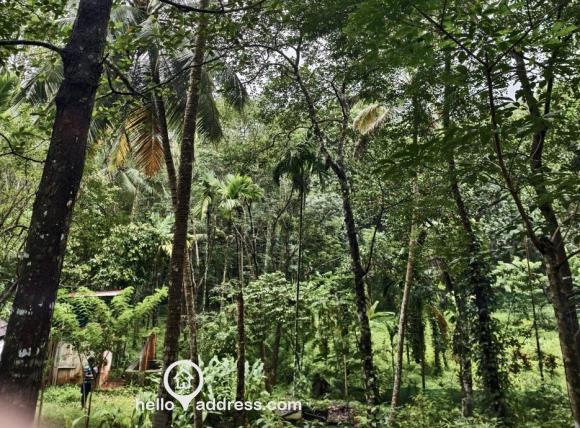 Agricultural Land for Sale