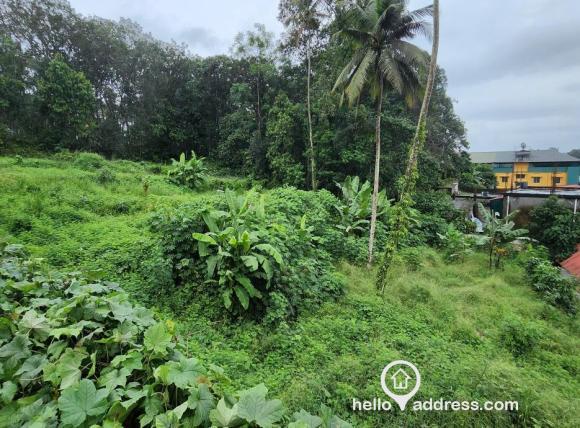 Commercial Land for Sale