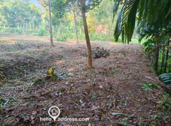 Commercial Land for Sale