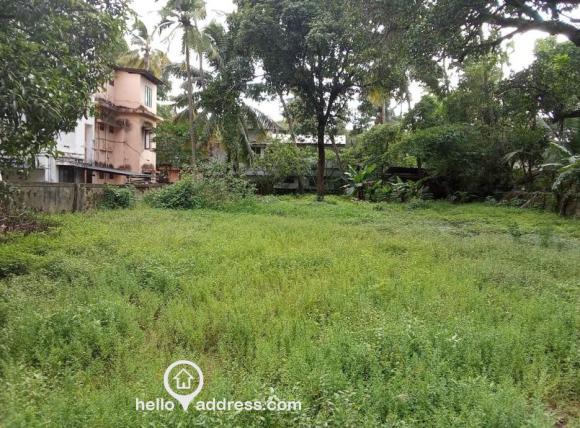 Commercial Land for Sale