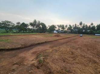 Residential Land for SaleThrissur, Thrissur, Poothole