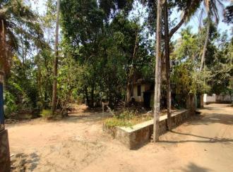 Residential Land for SaleThrissur, Thrissur, Manalur