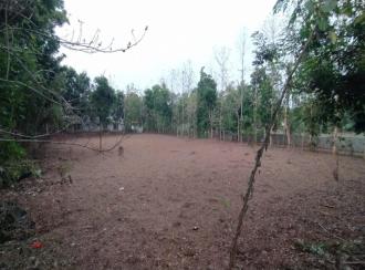 വാസയോഗ്യമായ ഭൂമി വില്പനയ്ക്ക് 