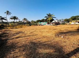 Residential Land for SaleThrissur, Thrissur, Chiyaram