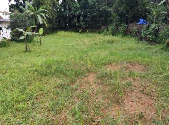 Residential Land for SaleErnakulam, Perumbavoor, Kombanad