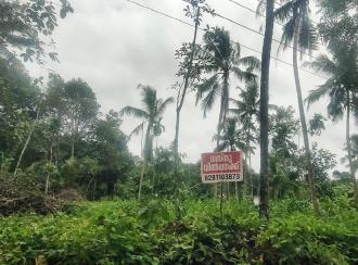 Residential Land for Sale in Pathanamthitta, Elavumthitta, Muttathukonam, prakkanam