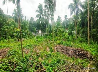 Residential Land for Sale in Pathanamthitta, Elavumthitta, Muttathukonam, prakkanam