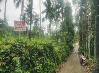 Residential Land for Sale in Pathanamthitta, Elavumthitta, Muttathukonam, prakkanam