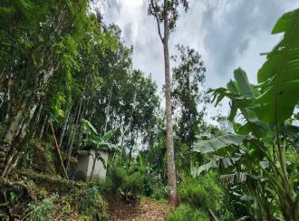 Residential Land for Sale in Kottayam, Pala, Manathoor