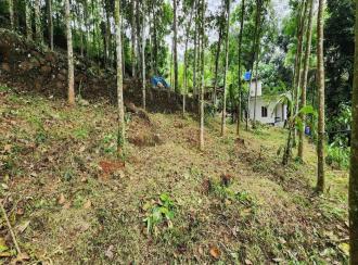 Residential Land for Sale in Kottayam, Pala, Manathoor