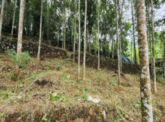 Residential Land for Sale in Kottayam, Pala, Manathoor