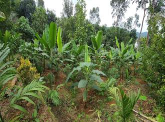 Residential Land for Sale in Kottayam, Pala, Manathoor