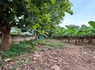 Residential Land for Sale in Alleppey, Chengannur, Ennakkad