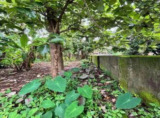 Residential Land for Sale in Alleppey, Chengannur, Ennakkad