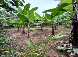 Residential Land for Sale in Alleppey, Chengannur, Ennakkad