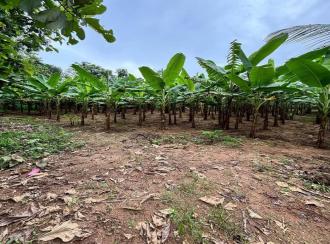 Residential Land for Sale in Alleppey, Chengannur, Ennakkad