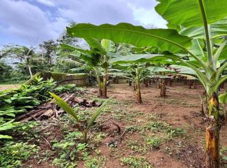 Residential Land for Sale in Alleppey, Chengannur, Ennakkad