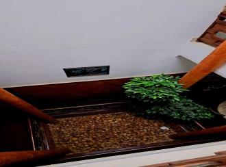 Residential House Villa for Sale in Ernakulam, Angamaly, Moozhikkulam