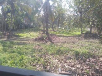 Residential Land for Sale in Kottayam, Vaikom, Alathoor, Vaikom vechoor road Alathoorpadi Bus stop