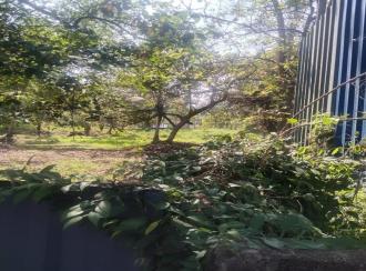 Residential Land for Sale in Kottayam, Vaikom, Alathoor, Vaikom vechoor road Alathoorpadi Bus stop