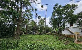 Residential Land for Sale in Wayanad, Sulthan bathery, Sultan Bathery