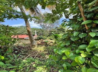 Commercial Land for Sale in Pathanamthitta, Konni, Pramadom, Vattappara Bus Stop