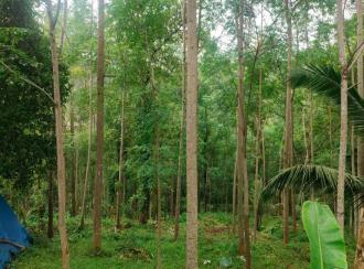 Agricultural Land for SalePathanamthitta, Ranni, Ranni