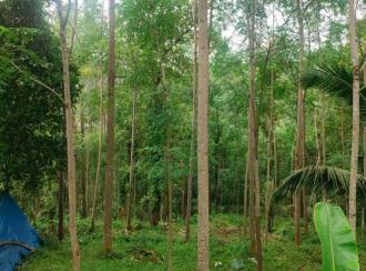 Agricultural Land for Sale in Pathanamthitta, Ranni, Ranni